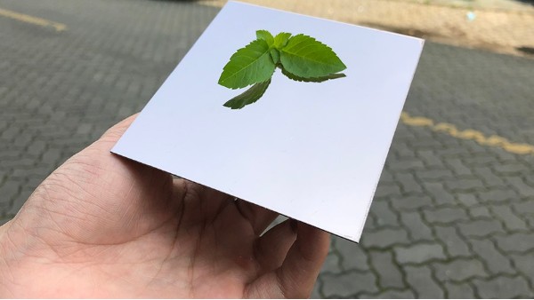 為什么彩色不銹鋼裝飾板會大受歡迎？